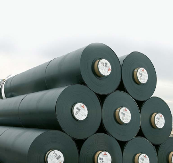 GEOMEMBRANE